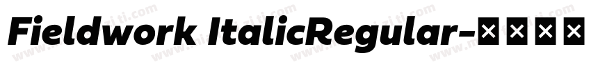 Fieldwork ItalicRegular字体转换